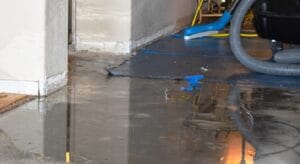 Mold-Growth-After-Water-Damage
