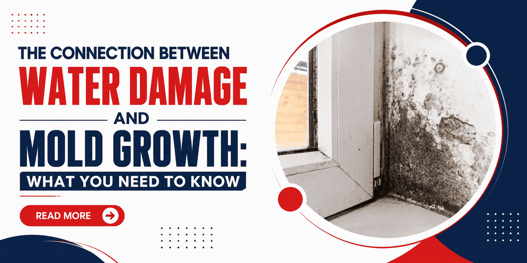 the-connection-between-water-damage-and-mold-growth