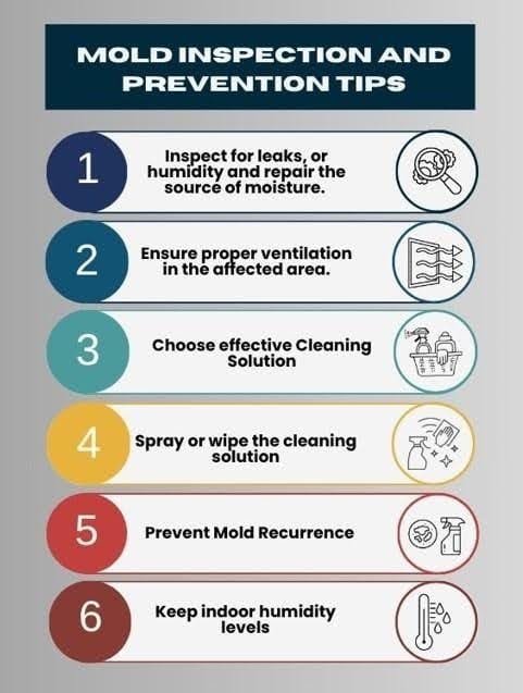 Mold Damage Restoration preventions