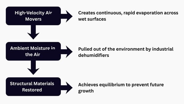 Drying-the-Structural-Elements