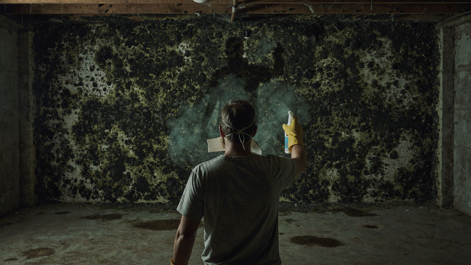 Homeowner in a T-shirt with a spray bottle facing a large wall of black mold in a basement