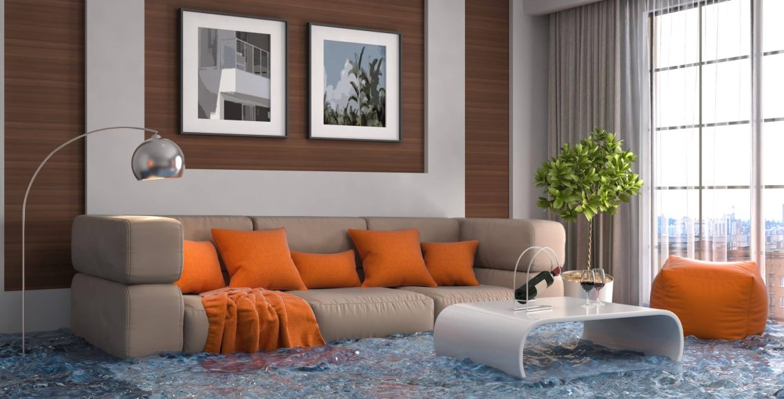 Professional water damage restoration services