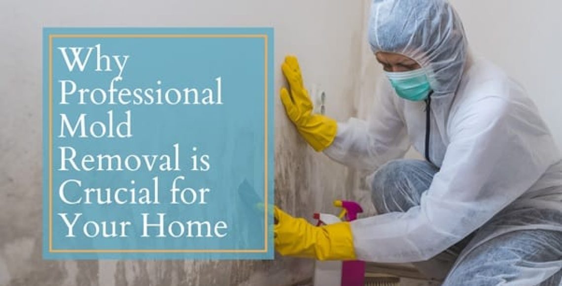 Professional-Mold-Removal-is-Crucial