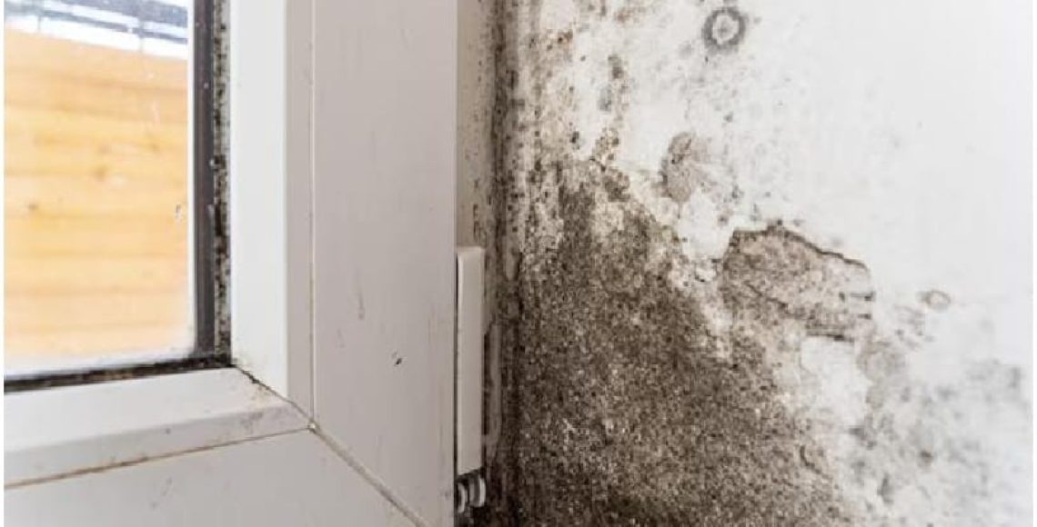Water-Damage-and-Mold-Growth