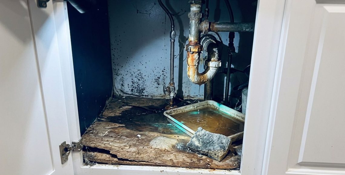 Under sink cabinet with swollen particleboard, rusted pipes and mold from a long term slow leak
