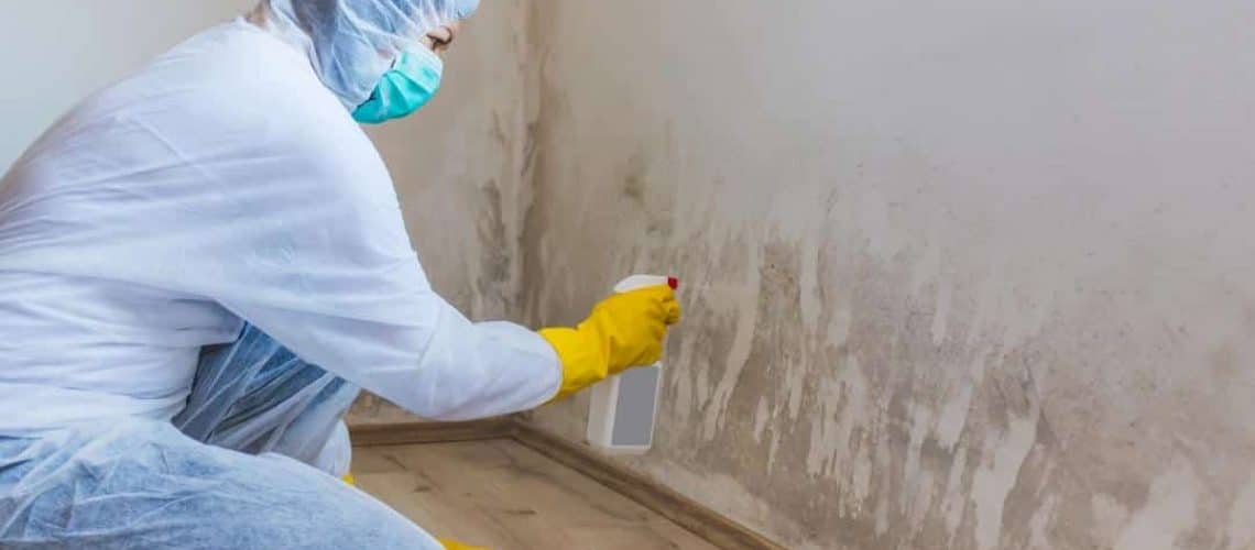 Mold_Removal_and_Remediation_services
