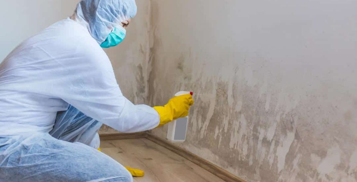 Mold_Removal_and_Remediation_services