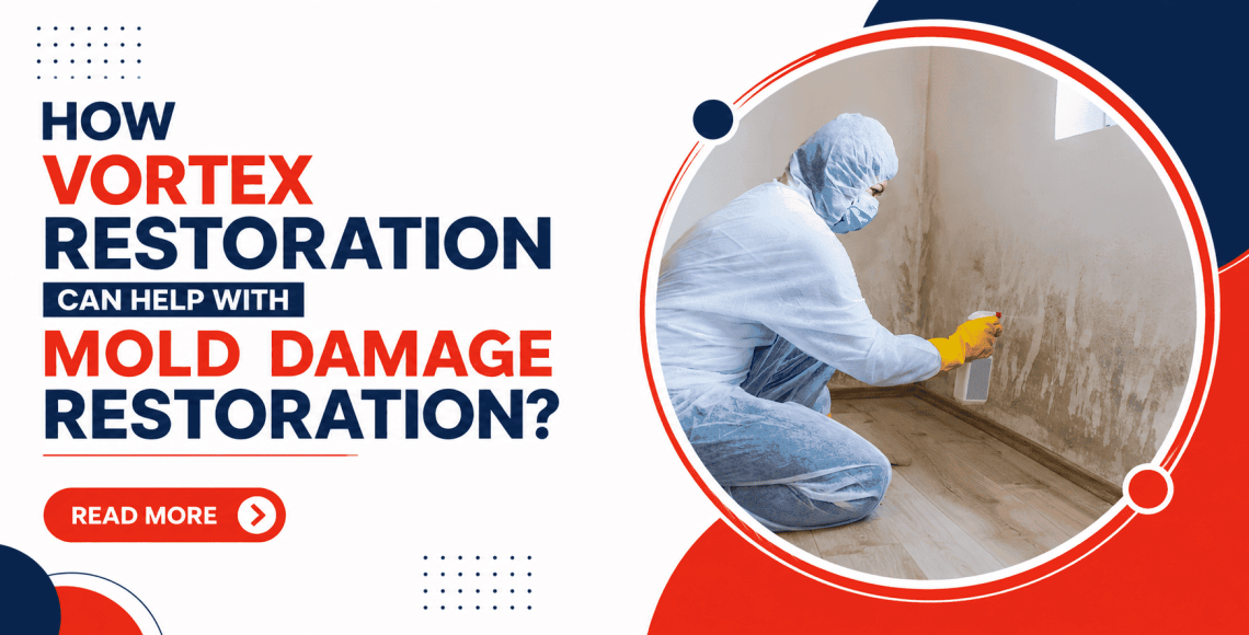 vortex-restoration-can-help-with-mold-damage-restoration