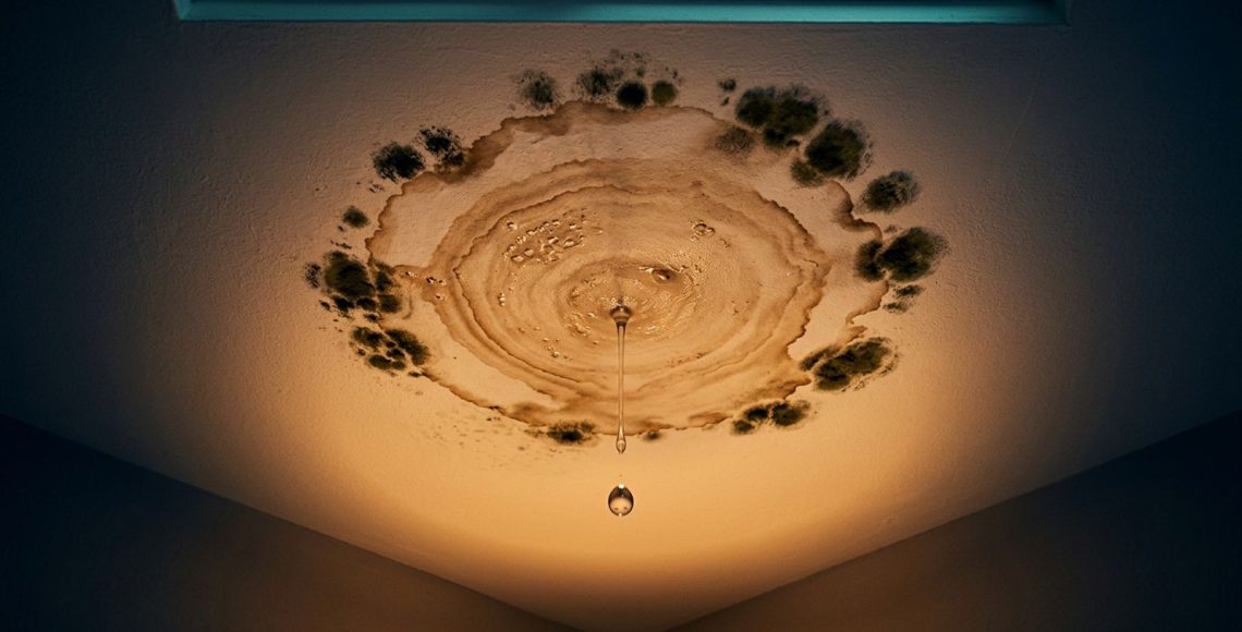 Water stained ceiling with a drip falling and mold growing along the edge of the stain
